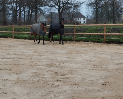 IMG_20240301_142157